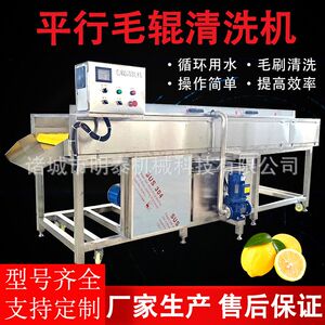 柑橘类平行毛辊清洗机 橄榄槟榔清洗风干线 海蛎子清洗去杂设备