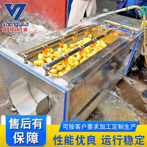 生姜去皮清洗机 全自动马蹄毛辊清洗机 萝卜去皮清洗机 全国包邮