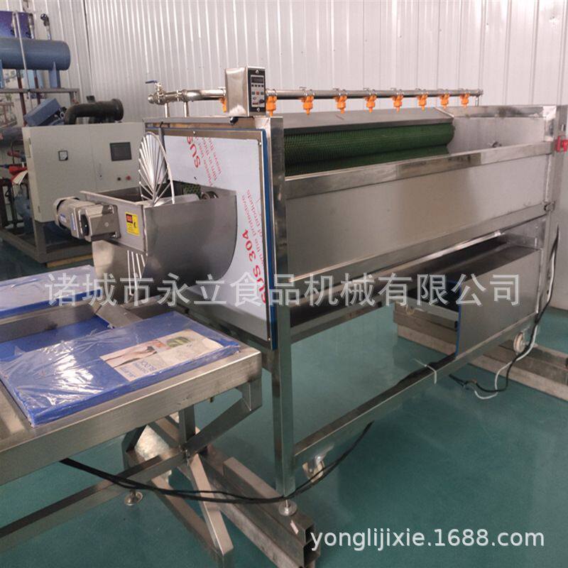 供应人参清洗机 牛蒡子去皮清洗机 毛辊式蔬菜清洗机