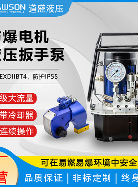 道盛防爆液压扳手泵DKLW4010AEX三级流量EXDIIBT4防爆电动泵