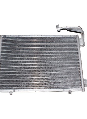 --翼搏.嘉年华 13/1.0T 大孔 散热网C1B119710AC