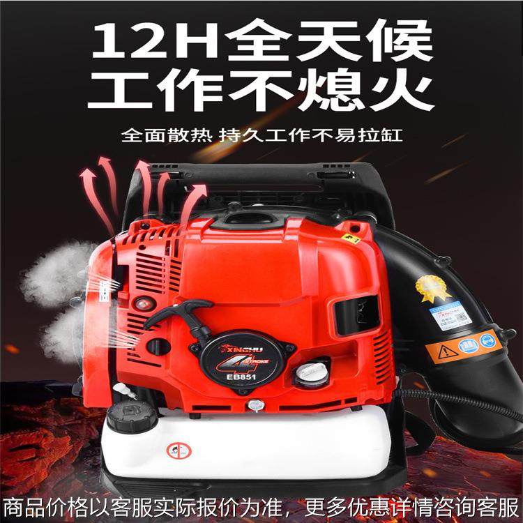 道路树叶清理机 背负式汽油吹风机 大功率山区吹风雪机,农机/农具/农膜,林业机械,淘宝优惠券,粉丝福利购,淘宝优惠卷