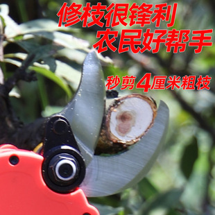 电动修枝剪果树修枝剪充电强力锂电树枝剪园林园艺电剪省力粗枝剪