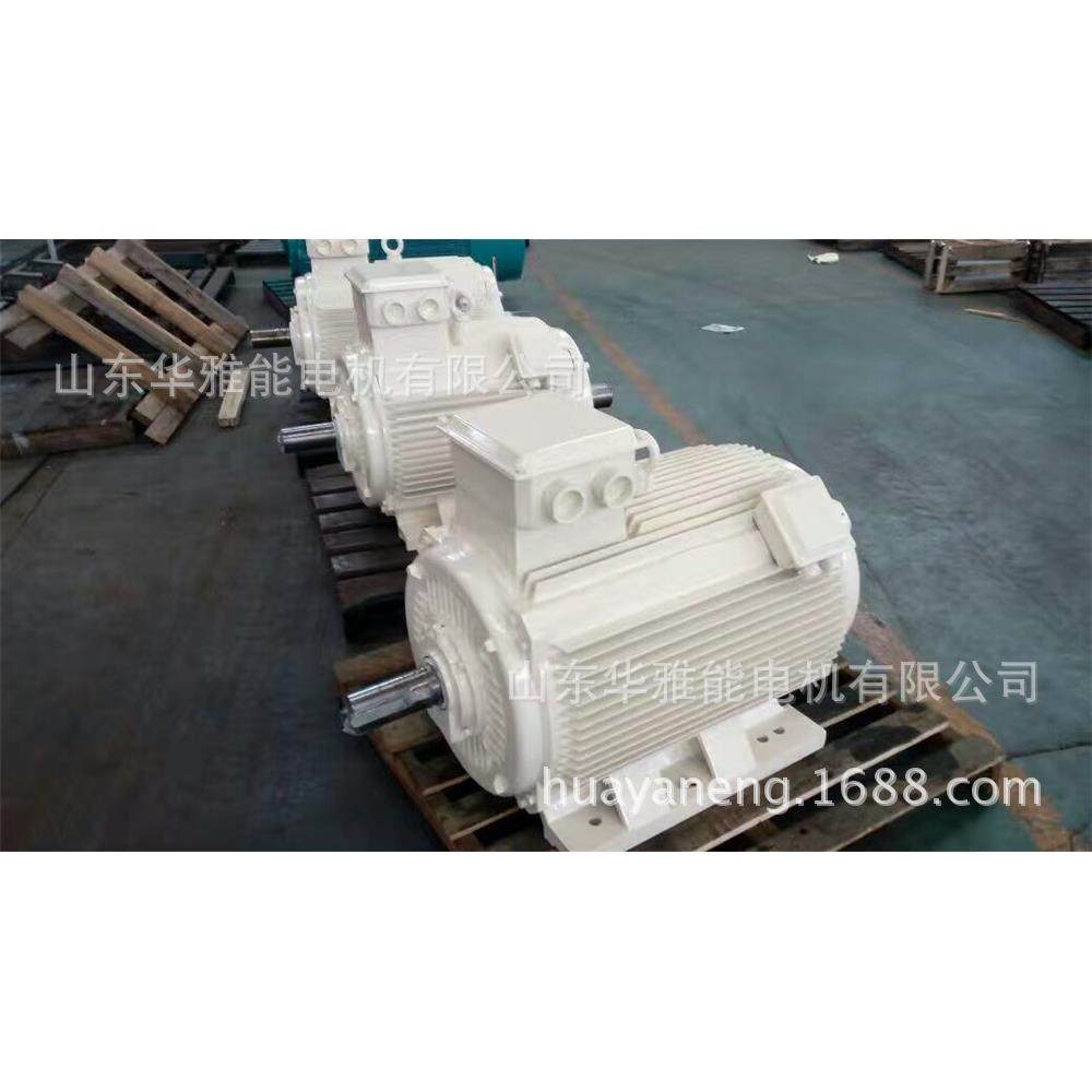 正品湘潭YBBP变频电动机YE3VP355M2-8-160电机优先动力节能优选