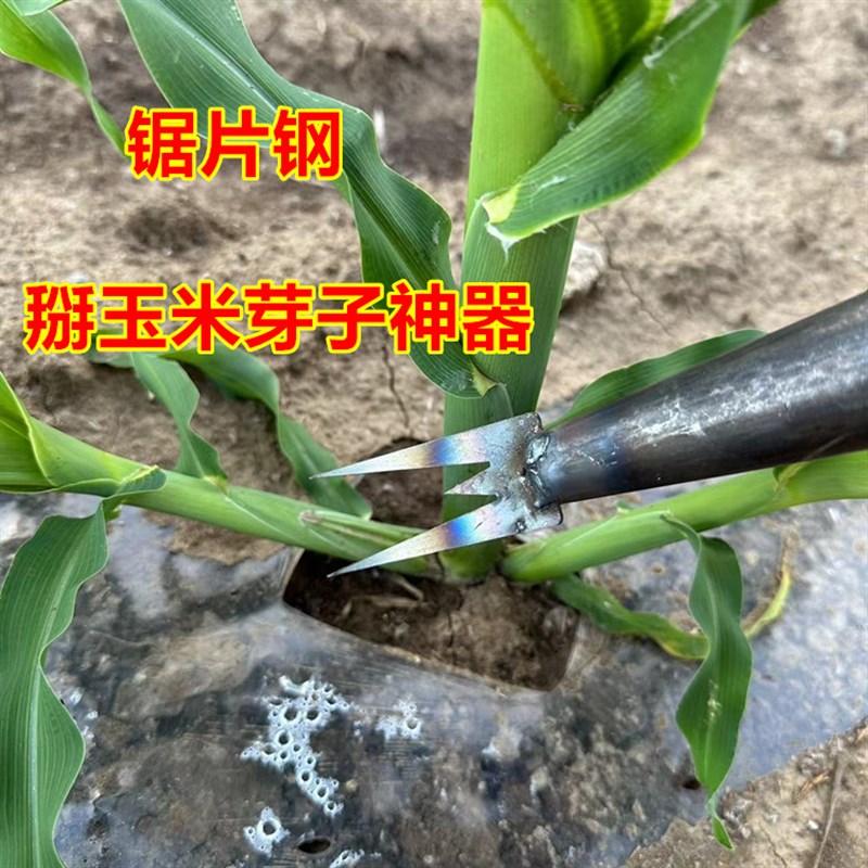 掰玉米丫子神器免弯腰农用玉米苗打叉专用工具去除苞米芽子根叉锄