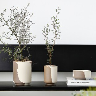 细高设计陶瓷花盆兰花水培花瓶无孔块根陶土盆栽精致陶盆蝴蝶兰小