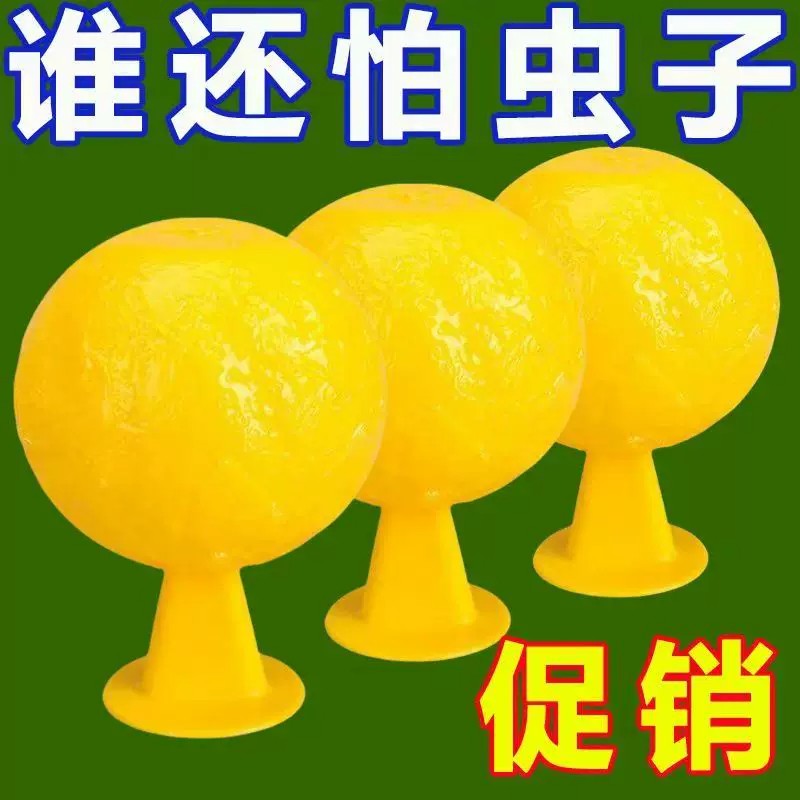 粘飞虫球室内果蝇小飞虫诱捕灭蝇神器安全环保持久粘性苍蝇防蚊虫