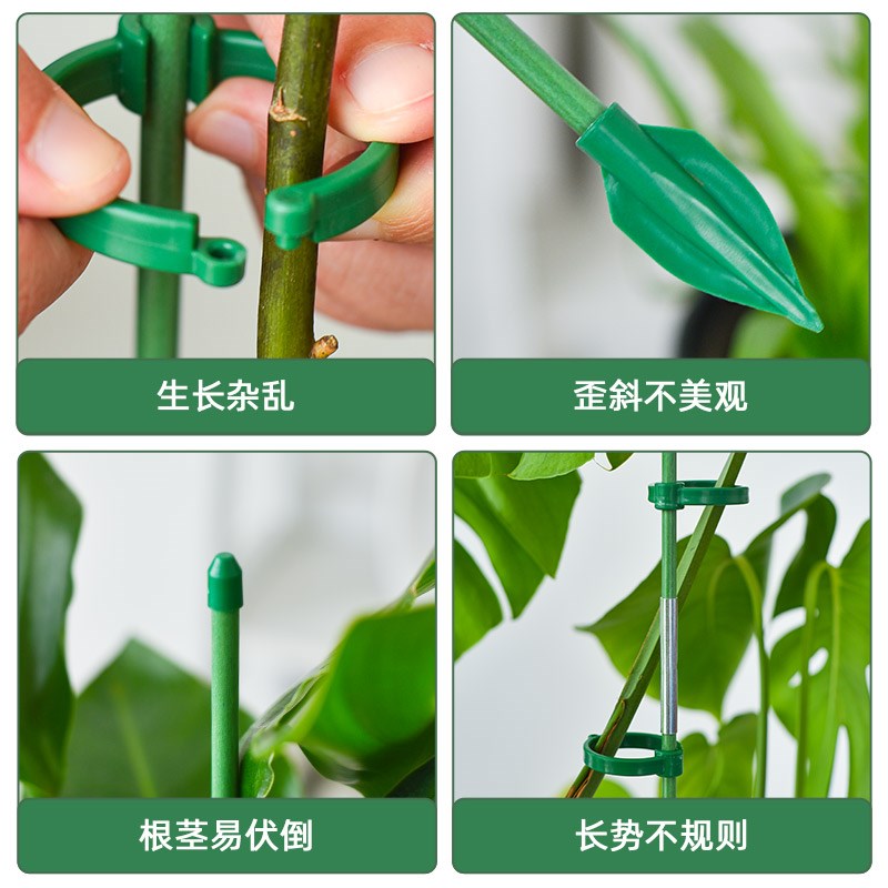 西红柿番茄辣椒固定杆爬藤吊兰园艺花架花支撑架植物防倒伏支撑杆