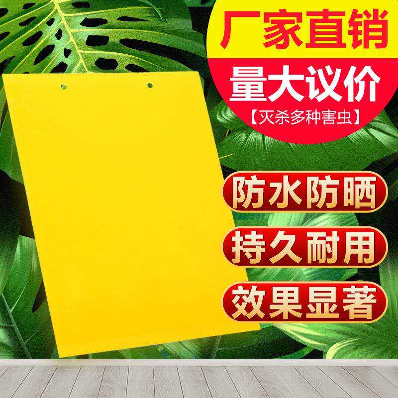 诱杀蔬菜大棚果茶园小黑飞粘虫板黄板包邮双面家用蓝色诱虫板纸贴