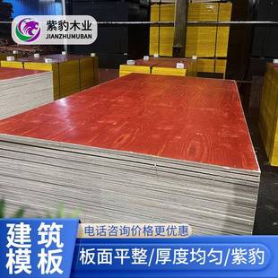 厂家直供建筑木模板9m建筑模板1830*915桉木板多层桉木胶合板