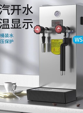 耐雪 WS-500蒸汽奶泡商用全自动开水机多功能商用奶茶店萃茶机