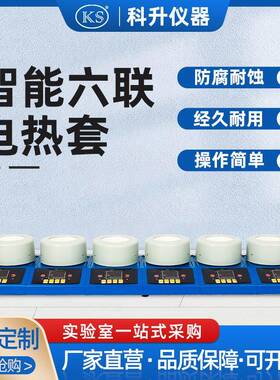 ZNCL-DLS智能多联数显磁力搅拌电热套六联100ml250ml500ml1000ml