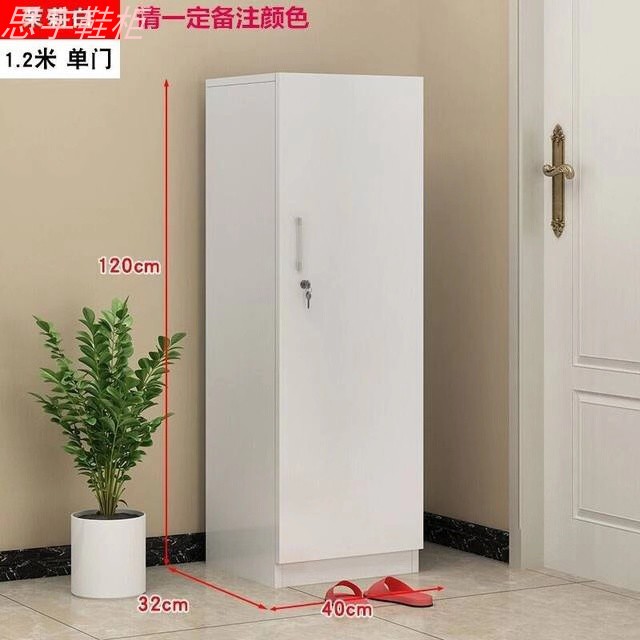 走廊鞋柜家用门口带锁室外电梯口门外过道放外面的白色定制黑胡桃