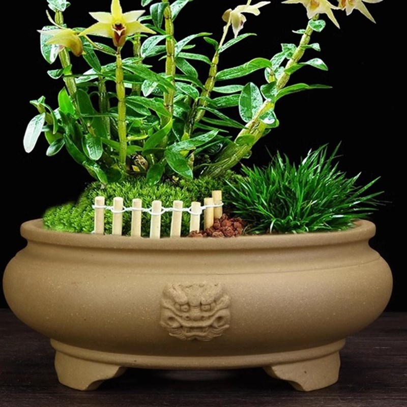 宜兴紫砂花盆大口径桌面花卉精品圆形阳台盆景盆室内假山老桩特价