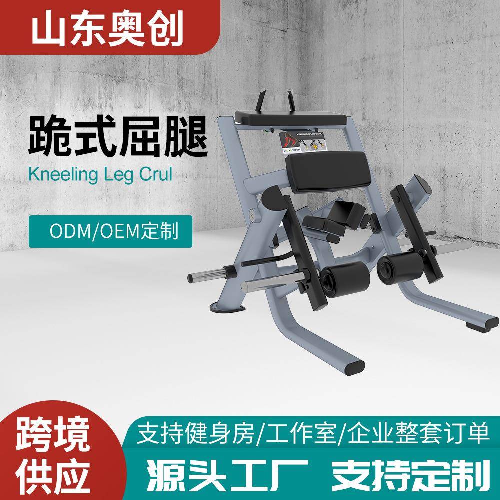 健身房商用全套自由力量系列推胸屈腿二三头肌健身房室内训练器械