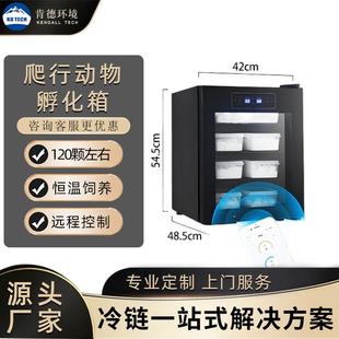 爬宠孵化箱乌龟孵化机蜥蜴孵化器守宫恒温箱蛇类冬化箱孵化柜智能