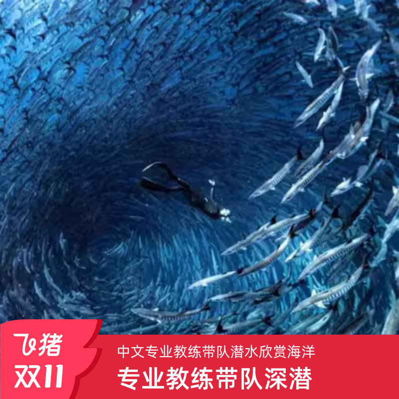 【海岛潜水】诗巴丹深潜游,马步岛海域 三次深潜,可考专业潜水证书 【全国出发】全国五十多城飞,沙巴仙本那纯玩海岛游,DIY行程天数可配 【品质保障】专注仙本那10年+,一手资源,澳门包机,专业旅行规划 【出行无忧】机票,酒店,接送机,1对1中文管家对接
