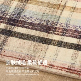 奶油风客厅地毯轻奢卧室茶几垫别墅衣帽间厚地毯 楼兰美惠复古美式