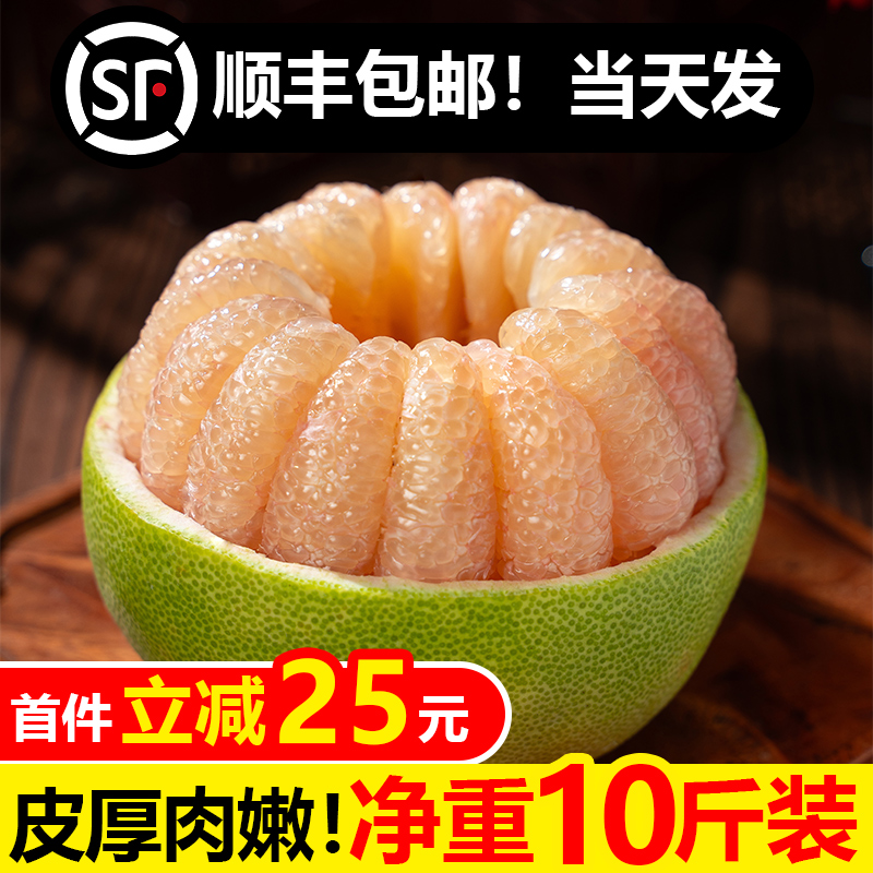福建度尾文旦柚红心白柚子原产地