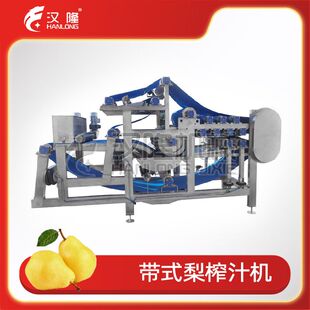 厂家供应大型商用带式梨榨汁机设备苹果石榴青苗梅干菜等榨汁脱水
