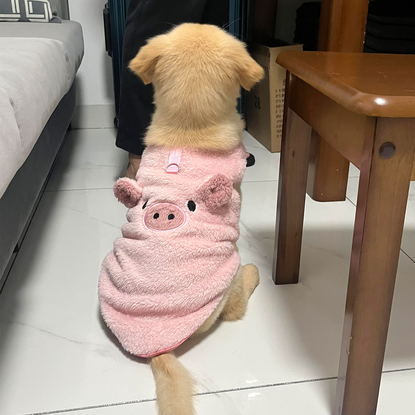 粉色猪猪狗狗衣服小型犬冬装带牵引扣加绒保暖背心猫咪冬季睡衣