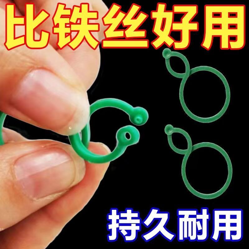 蔬菜植物茎秆卡夹固定器
