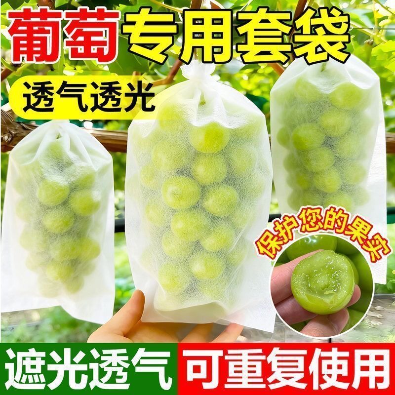 葡萄套袋防鸟通用袋瓜果防虫专用袋无花果枇杷葡萄桃子草莓育苗袋