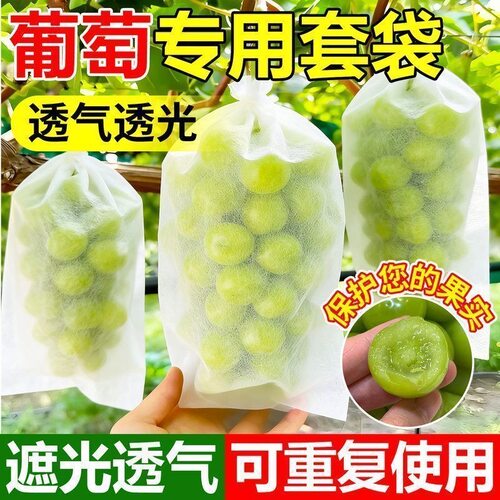 葡萄套袋防鸟通用袋瓜果防虫专用袋无花果枇杷葡萄桃子草莓育苗袋
