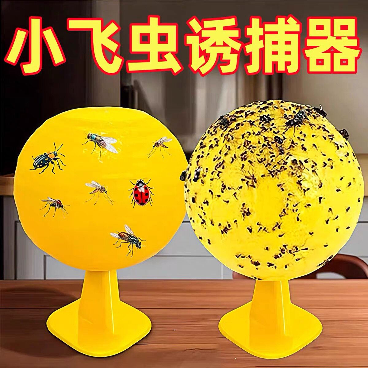 果蝇诱捕器小飞虫灭杀神器室内去除蚊虫克厨房小蠓虫粘虫球诱苍蝇