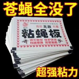 粘蝇纸苍蝇贴强力粘蝇板粘蝇纸杀手捕捉器饭店家用灭蚊蝇