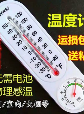 大棚温度计农业专用养殖干湿表壁挂式高精度室内家用温湿度计精准