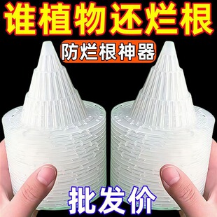 可移动耐用花盆垫片花盆垫底塑料网多肉根部透气防烂根网锥形垫片