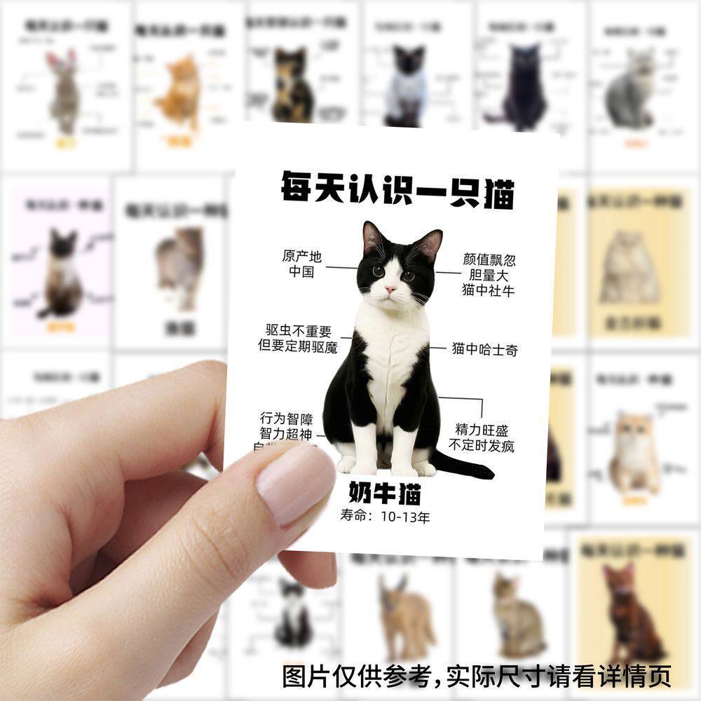 【大图释官方授权】252张每天认识一种猫贴纸可爱创意猫咪知识儿童玩具标签装饰手账桌面手机不干胶素材贴画