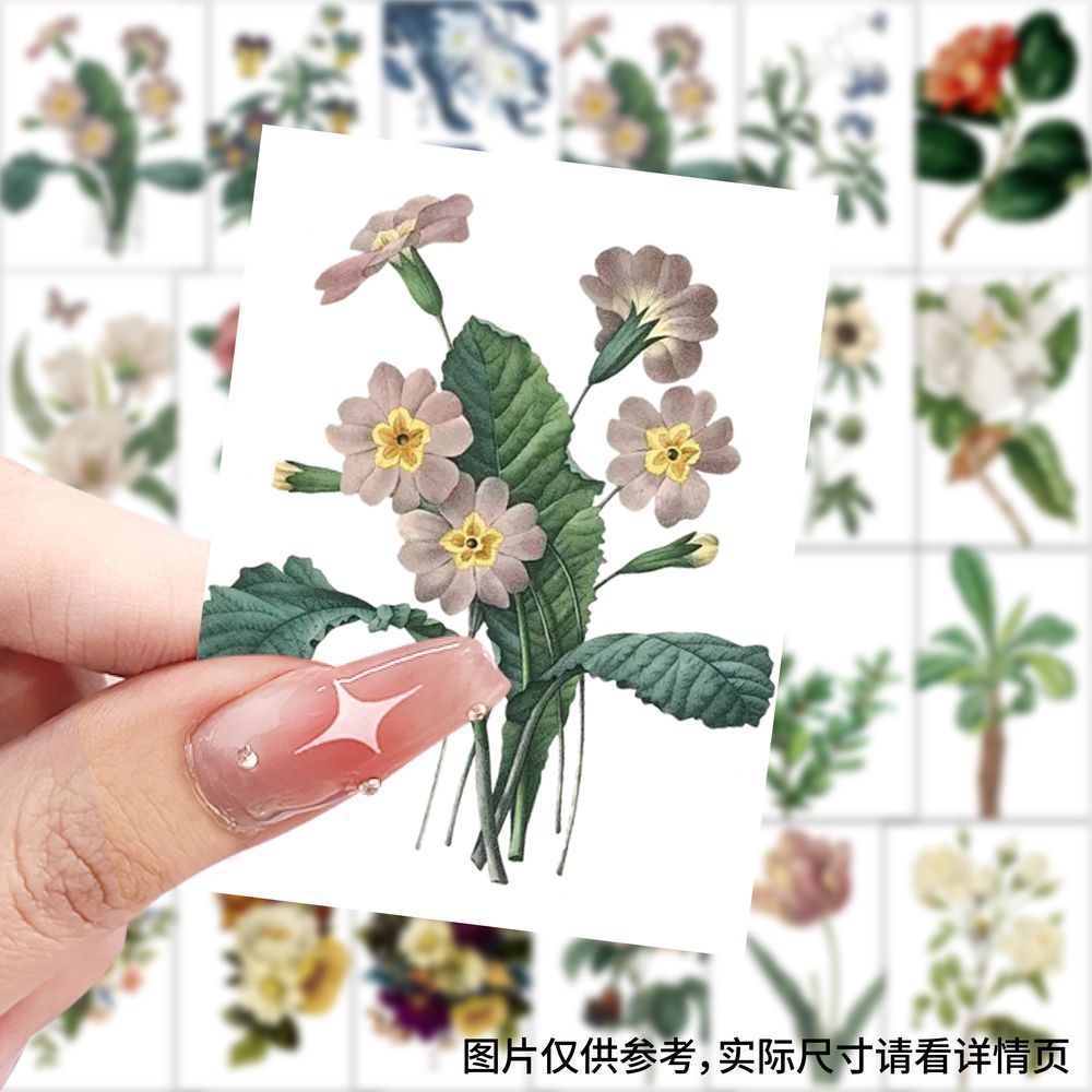 【大图释官方授权】126张复古花卉插画ins植物图案复古贴纸手账diy自粘清新手机笔记本装饰立体素材防水贴画图片