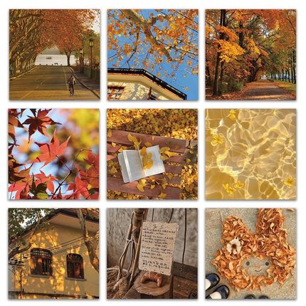 60张秋日橘柚香贴纸ins风手帐创意装饰笔记本文具手账diy电脑贴