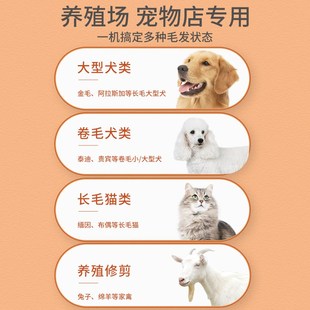 狗狗剃毛器电推剪大功率电推子泰迪狗猫剃刀大型犬宠物剃毛器