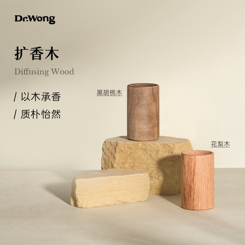Dr.Wong扩香木香薰扩香摆件