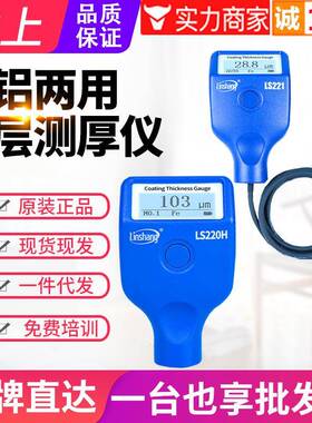 5mm大量程涂层测厚仪LS220H防腐层钢结构油漆厚度测量仪LS221