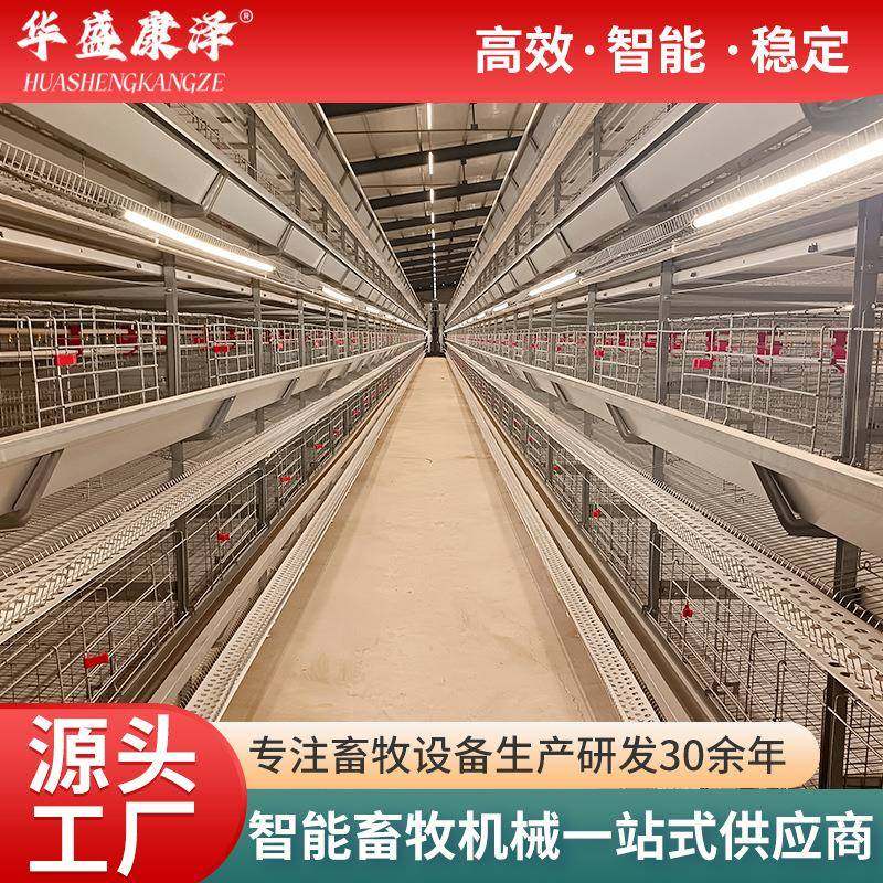 大层叠蛋鸡笼大层叠全自动化蛋鸡笼大规模养殖全自动框架笼蛋鸡笼,畜牧/养殖物资,特种养殖设备,淘宝优惠券,粉丝福利购,淘宝优惠卷