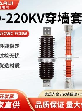 10-35kv电站交流高压陶瓷穿墙套管CWCCWW-20/4000A3150A铜导体24