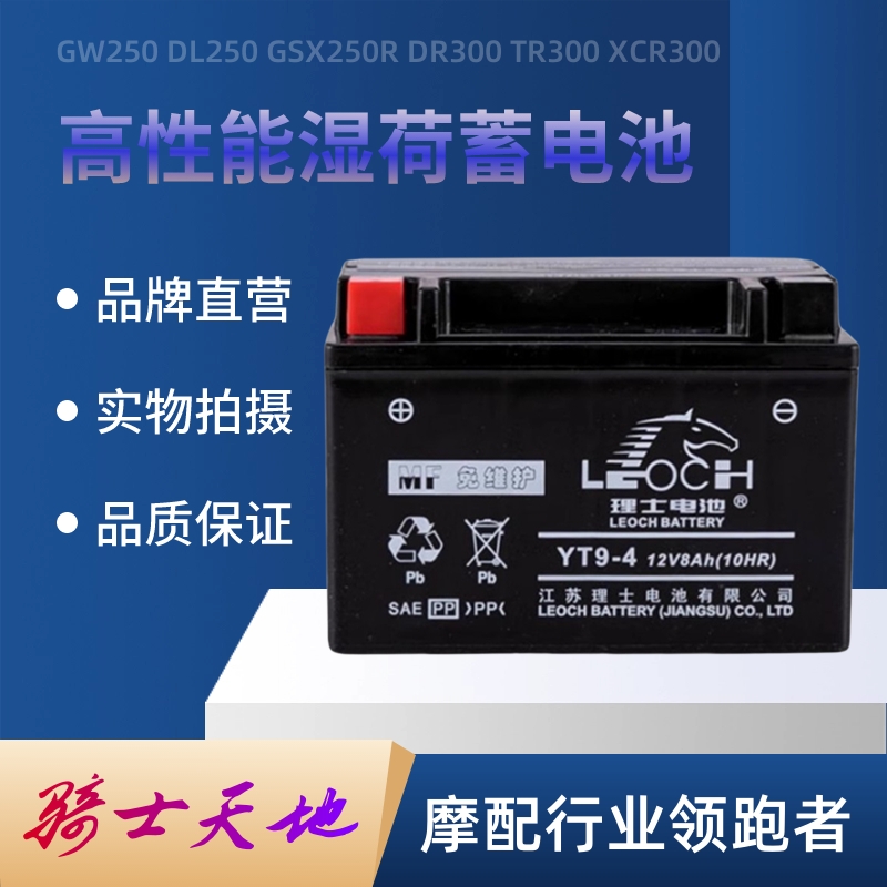 适用骊驰GWDL250SX250RT3