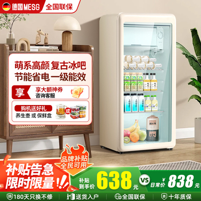 MESG复古冰吧小型家用透明饮料柜