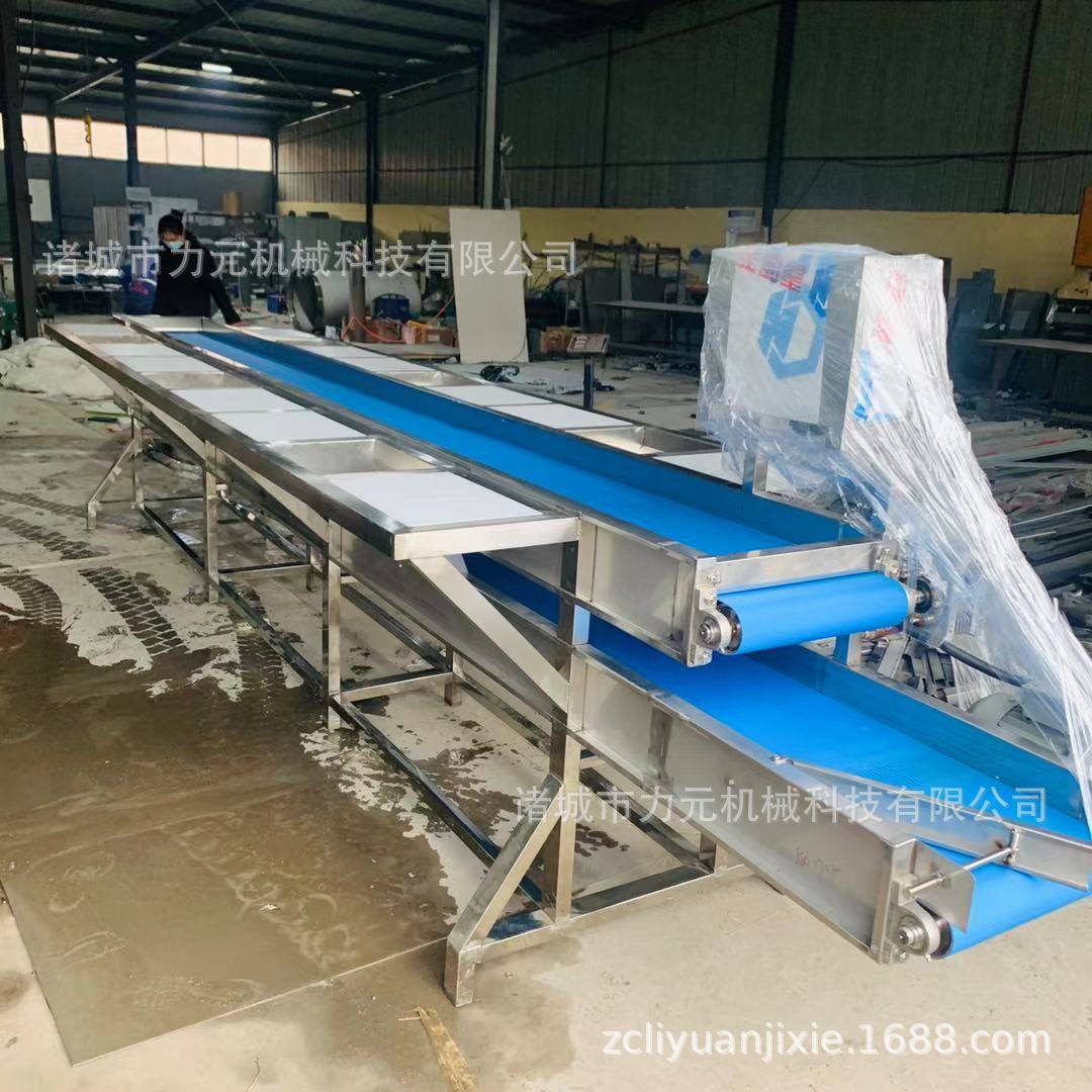 果蔬挑选输送台 大型不锈钢双层多工位挑选台 物料输送分选设备