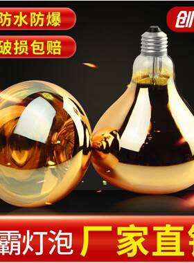 浴霸灯泡取暖275W红外线防水防爆卫生间通用保暖老式浴霸