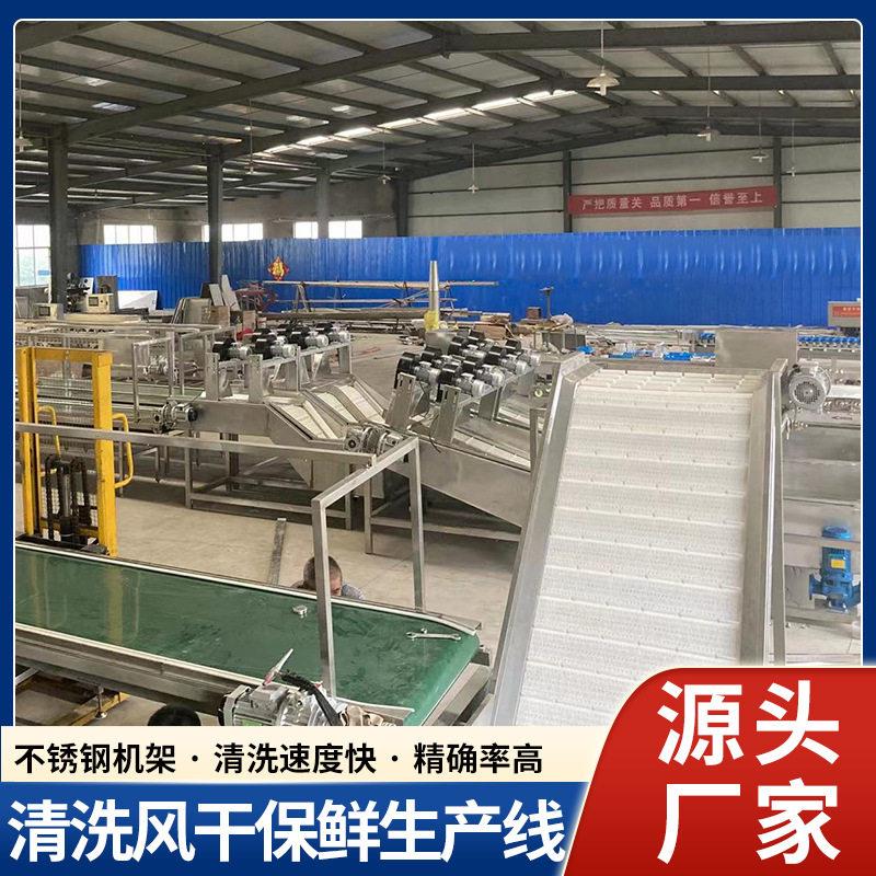 大小分选机 樱桃选果机价格 等级分级机 水果选果机厂家草莓
