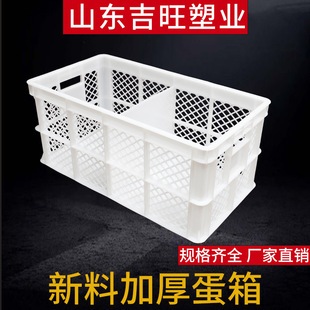 吉旺厂家加厚45斤隔板蛋筐 30斤蛋箱种蛋箱养殖厂鸡鸭鹅周转蛋箱