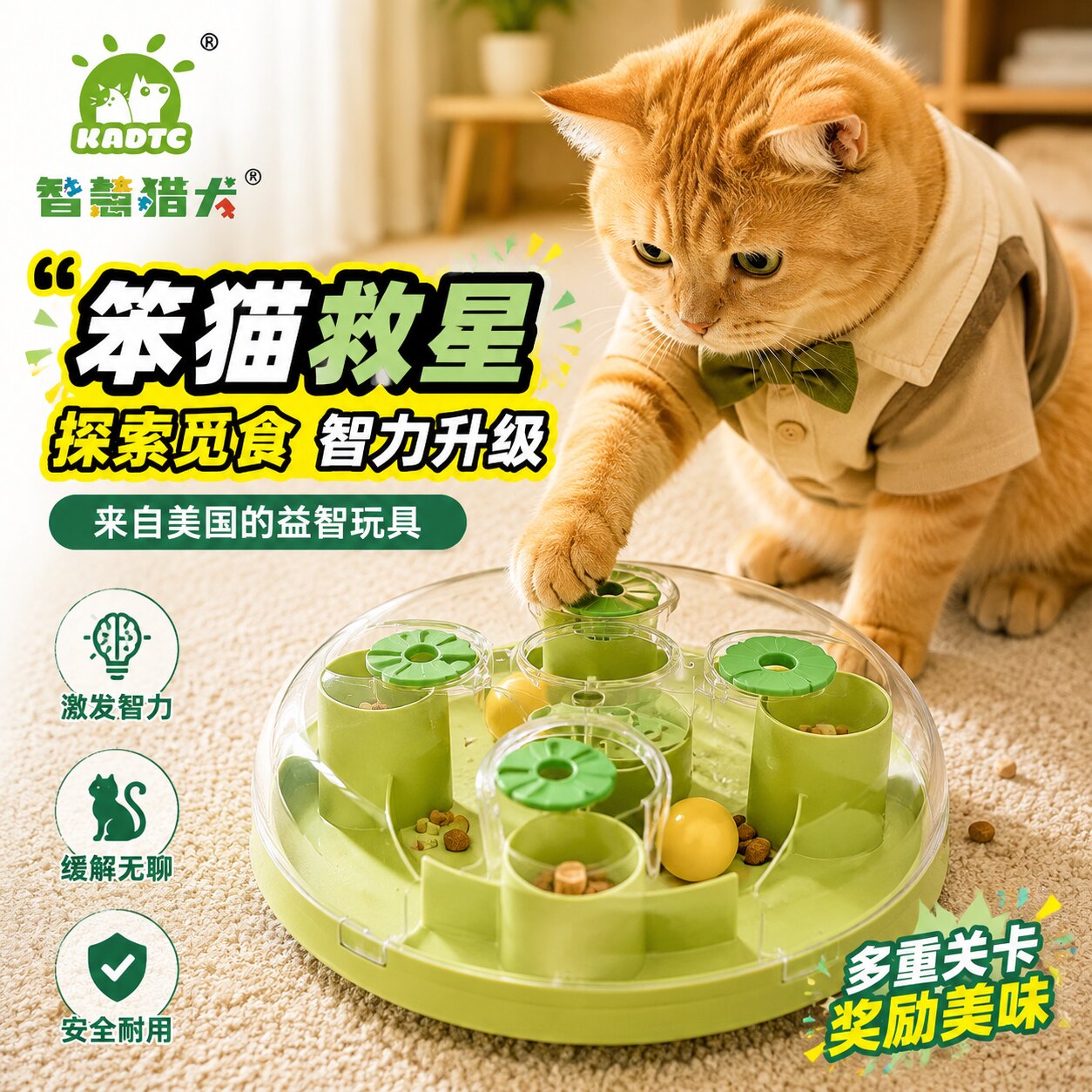 KADTC来自美国的益智玩具