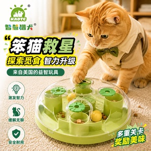 KADTC来自美国的益智玩具