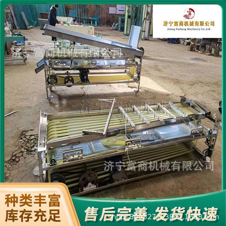 大型果蔬分级加工 商用软包不伤果山竹分选机 多规格滚筒轨道分选