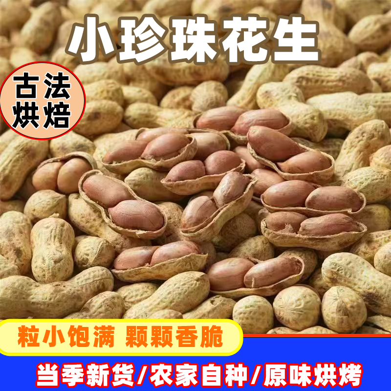 小珍珠花生蒜香味核桃味花生带壳熟花生下酒菜休闲零食干果炒货